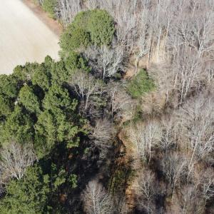 DJI_0751 copy