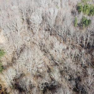 DJI_0752 copy