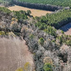 14-DJI_20251222111646_0143_D