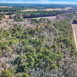 07-DJI_20251222111453_0113_D