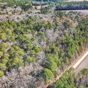 04-DJI_20251222111340_0098_D