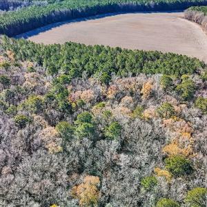 12-DJI_20251222111619_0133_D