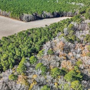 15-DJI_20251222111652_0148_D