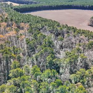 11-DJI_20251222111547_0128_D