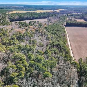 09-DJI_20251222111457_0118_D