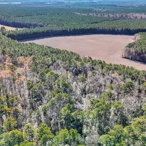 10-DJI_20251222111541_0123_D