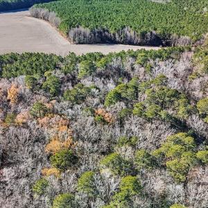 13-DJI_20251222111623_0138_D