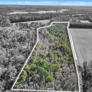 08-DJI_20251222111457_0118_D_1