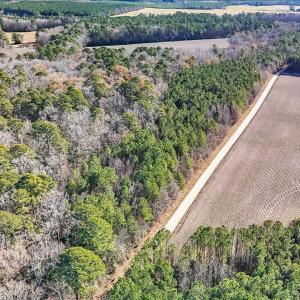 05-DJI_20251222111356_0103_D