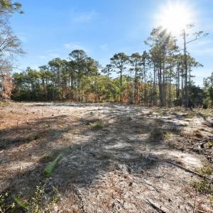 13-web-or-mls-DSC_3164