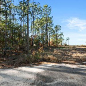 10-web-or-mls-DSC_3149