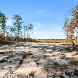 11-web-or-mls-DSC_3152