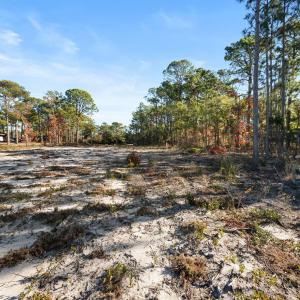 12-web-or-mls-DSC_3155