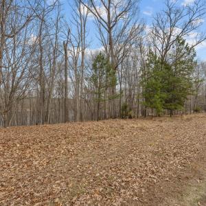 13-web-or-mls-1768 Rocky Cove Ln EXT013