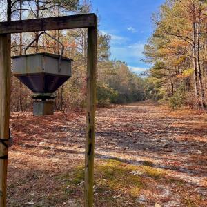 Screenshot 2025-12-29 at 3.52.36PM