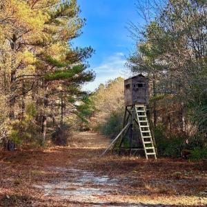 Screenshot 2025-12-29 at 3.52.48PM