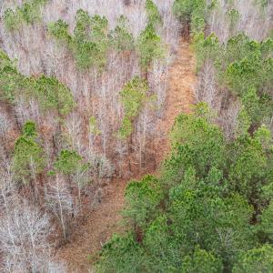 10-web-or-mls-DJI_20251229112305_0467_D