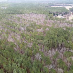 4-web-or-mls-DJI_20251229111752_0461_D