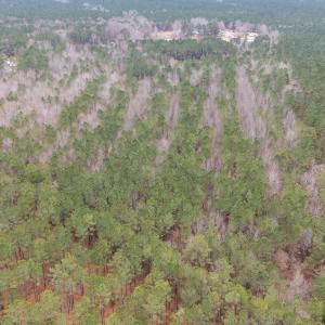 5-web-or-mls-DJI_20251229111918_0462_D