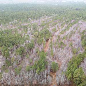 8-web-or-mls-DJI_20251229112134_0465_D