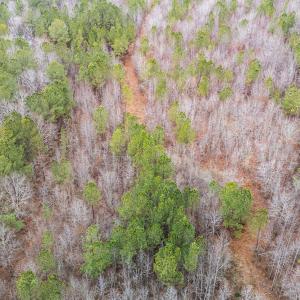 9-web-or-mls-DJI_20251229112157_0466_D