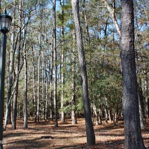 Woodsy Riversdge Homesite