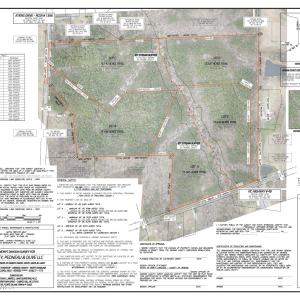 CHAKEY PEDNEAU OLIVE - NC HWY 49 PRELIMI