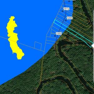 flood map