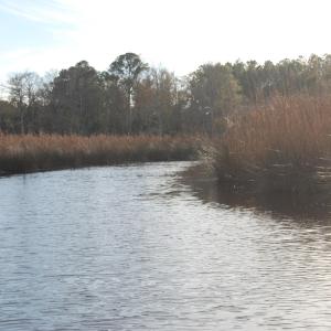 Mitchells Creek