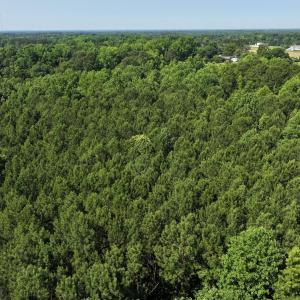 14) 66471-69619ee5ee747