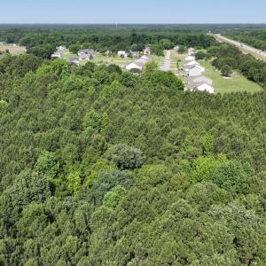 7) 66471-69619ecb8169f