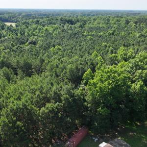 3) 66321-694f0e4889e92