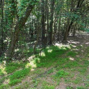 20) 66471-69619f0597cdc