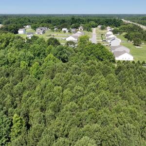 8) 66471-69619ecdf155b