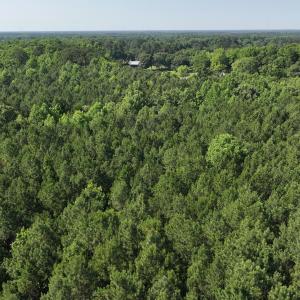 13) 66471-69619edfc882d