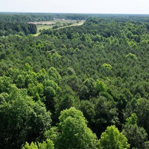 3) 66471-69619eddcbf46