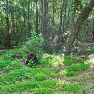 21) 66471-69619f0ee9686