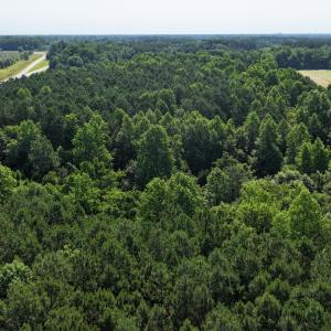 12) 66471-69619ebe7c1f7