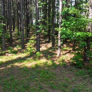 16) 66471-69619ef64e752