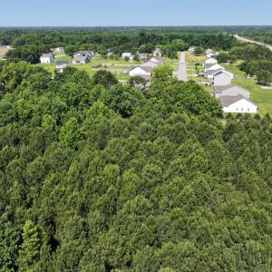 15) 66471-69619ee95e987