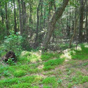 22) 66471-69619f101d3e1