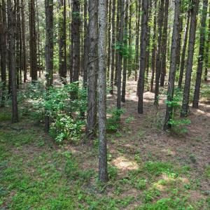 19) 66471-69619f0280c89