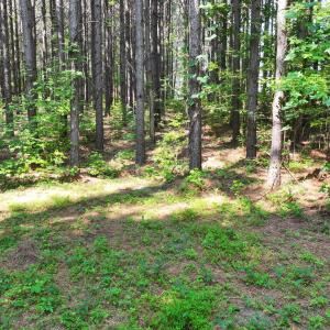 23) 66471-69619f15e6d66