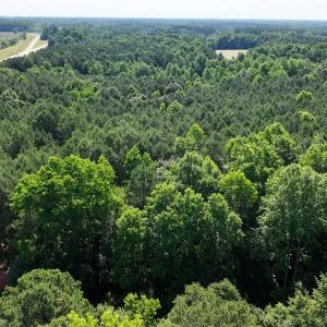 2) 66471-69619edd284a2