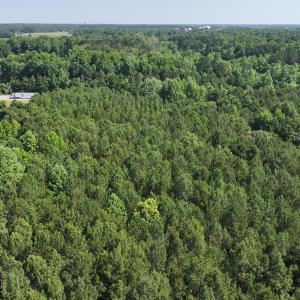 4) 66471-69619eeaf1135