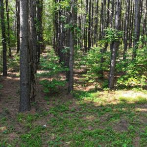 18) 66471-69619ef9e261b