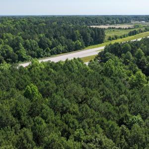 11) 66471-69619ebe77df6