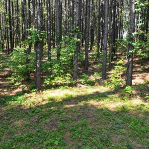 17) 66471-69619efd3cefa