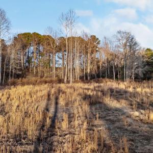 15-web-or-mls-DJI_20260104163104_0169_D