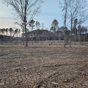 5) 66605-695dabcae229e